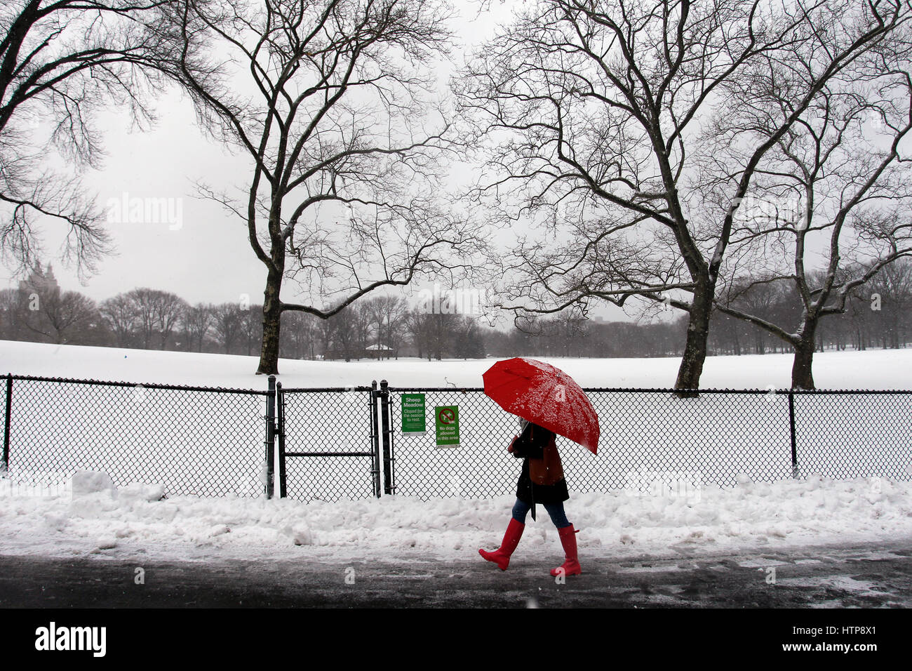 New York, États-Unis. 14Th Mar, 2017. Une femme jouit d'une promenade à travers la ville de New York's Central Park, pendant une tempête le 14 mars 2017, qui a été prédit à apporter jusqu'à deux pieds de neige à la ville mais seulement a 7 pouces. Les écoles fermées et la ville était relativement calme que beaucoup sont restés à la maison, mais certains se sont aventurés hors de s'amuser dans le parc. Crédit : Adam Stoltman/Alamy Live News Banque D'Images