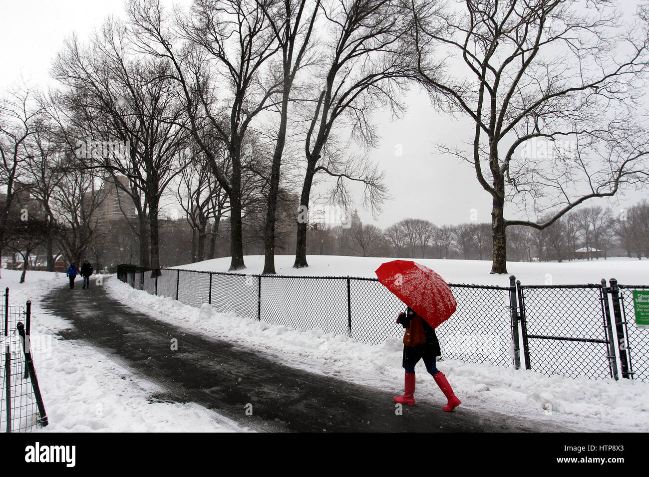 New York, États-Unis. 14Th Mar, 2017. Une femme jouit d'une promenade à travers la ville de New York's Central Park, pendant une tempête le 14 mars 2017, qui a été prédit à apporter jusqu'à deux pieds de neige à la ville mais seulement a 7 pouces. Les écoles fermées et la ville était relativement calme que beaucoup sont restés à la maison, mais certains se sont aventurés hors de s'amuser dans le parc. Crédit : Adam Stoltman/Alamy Live News Banque D'Images