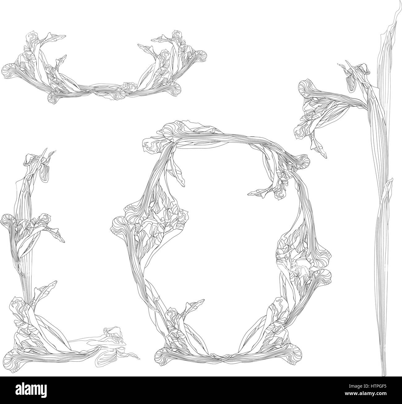 Feuilles floral pattern. leaf fond swirl texture nature. Illustration de Vecteur