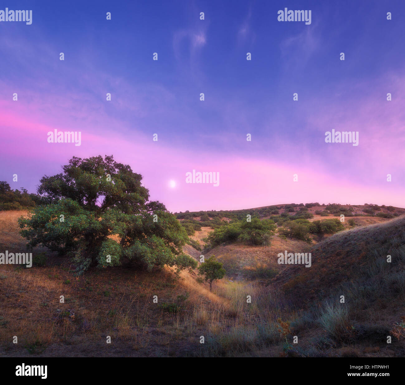 Paysage de nuit avec arbre vert et jaune de l'herbe sur la colline contre l'incroyable ciel bleu avec lune et nuages rose en été. Montagne de la criminalité Banque D'Images