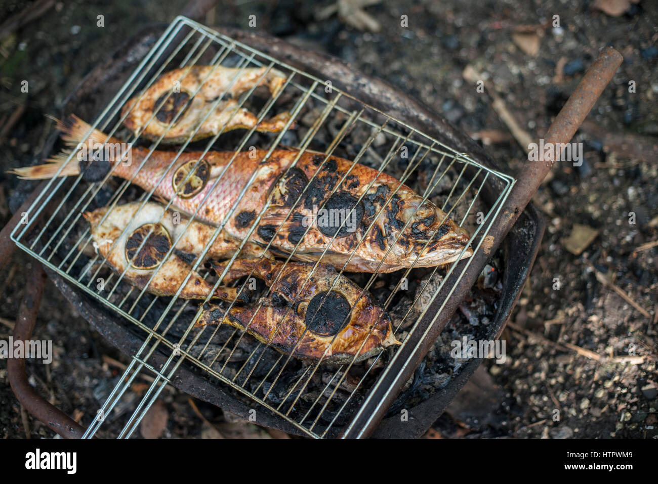 grillade de poisson Banque D'Images