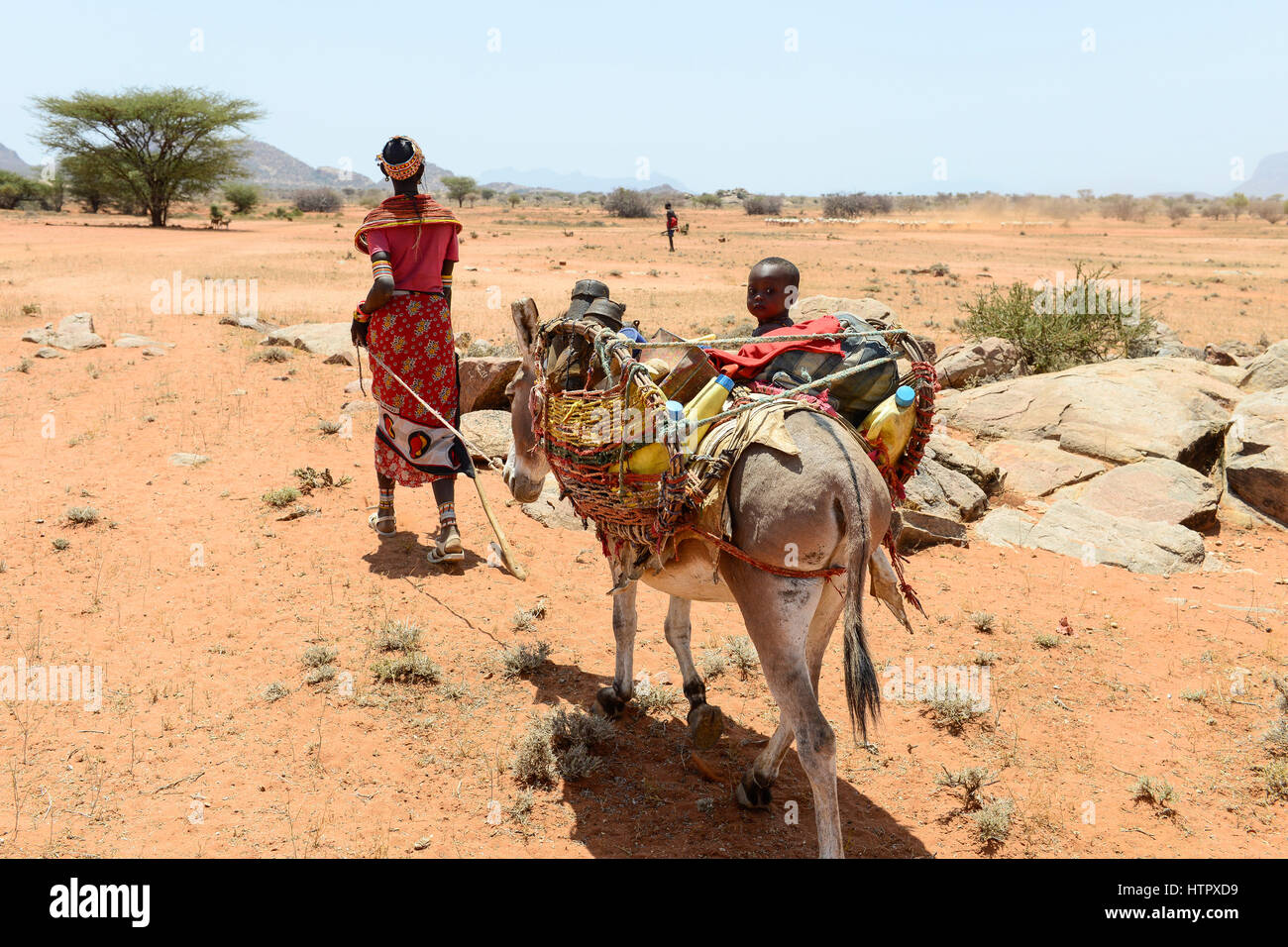 KENYA Samburu, Marsabit, tribu pastorale femme avec enfants sur donkey errer avec leurs troupeaux à la recherche d'eau et de pâturages / KENYA, Samburu, Marsabit Familie mit auf Wanderschaft Eseln und Ziegenherde, Suche nach Wasser und Weideland fuer ihre Tiere Banque D'Images