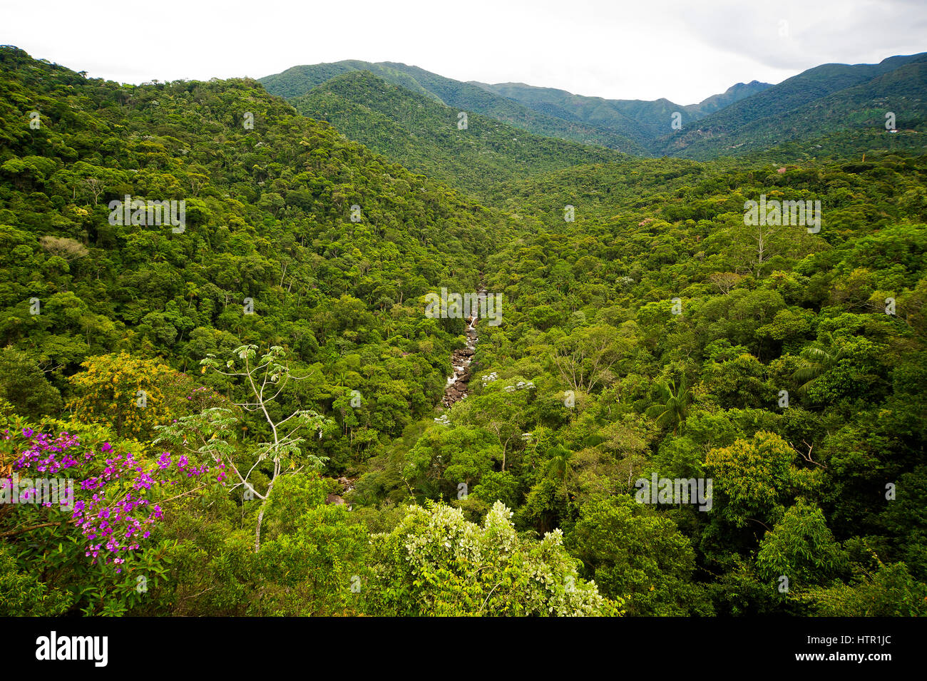 Vue de la forêt extense vu de 'Último Adeus" point de vue, le Parc National d'Itatiaia, Brésil Banque D'Images