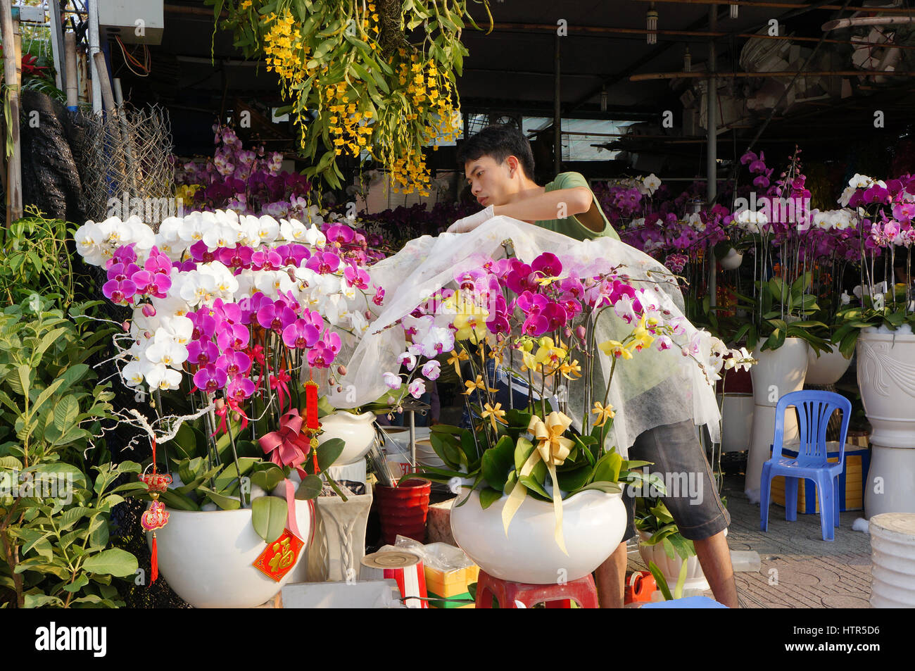 Ho Chi Minh ville, Viet Nam au printemps sur Saigon Street, marché de plein air qui montrent pour le Vietnam de fleurs colorées, la culture traditionnelle vietnamienne du têt Banque D'Images