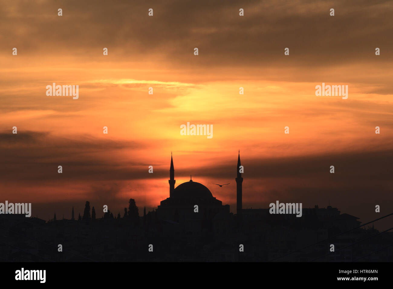 Mosquée de Gul tourné au coucher du soleil depuis le pont de Galata, Istanbul, Turquie Banque D'Images