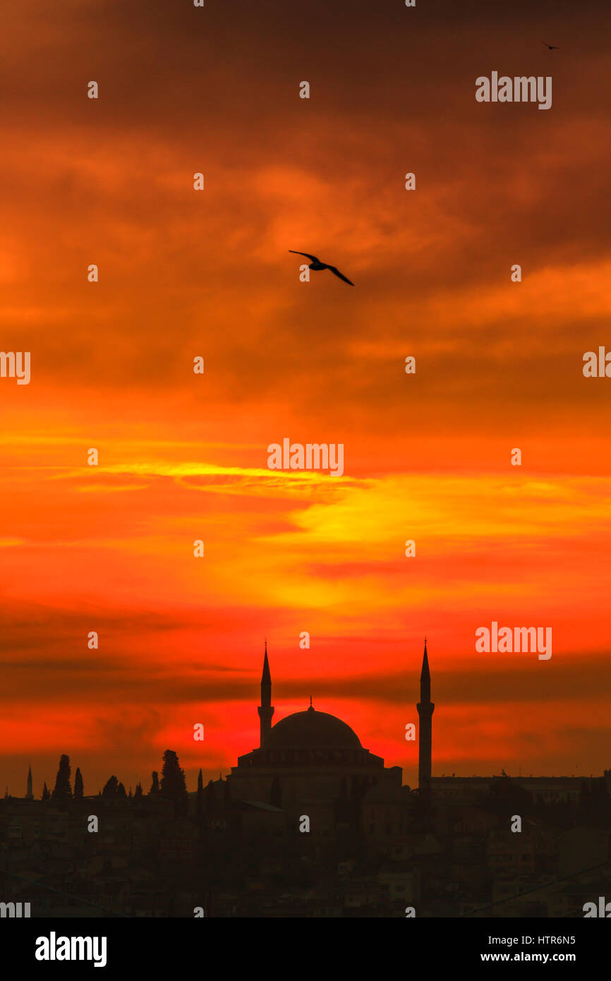 Mosquée de Gul tourné au coucher du soleil depuis le pont de Galata, Istanbul, Turquie Banque D'Images