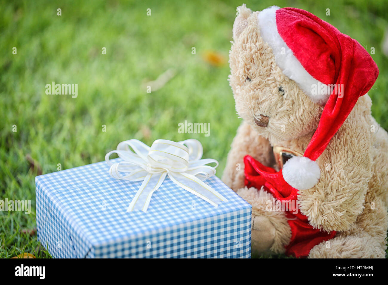 L'ours en peluche et les coffrets cadeaux sur la pelouse au concept d'offrir des cadeaux en festivals et événements du jour de Noël. Banque D'Images