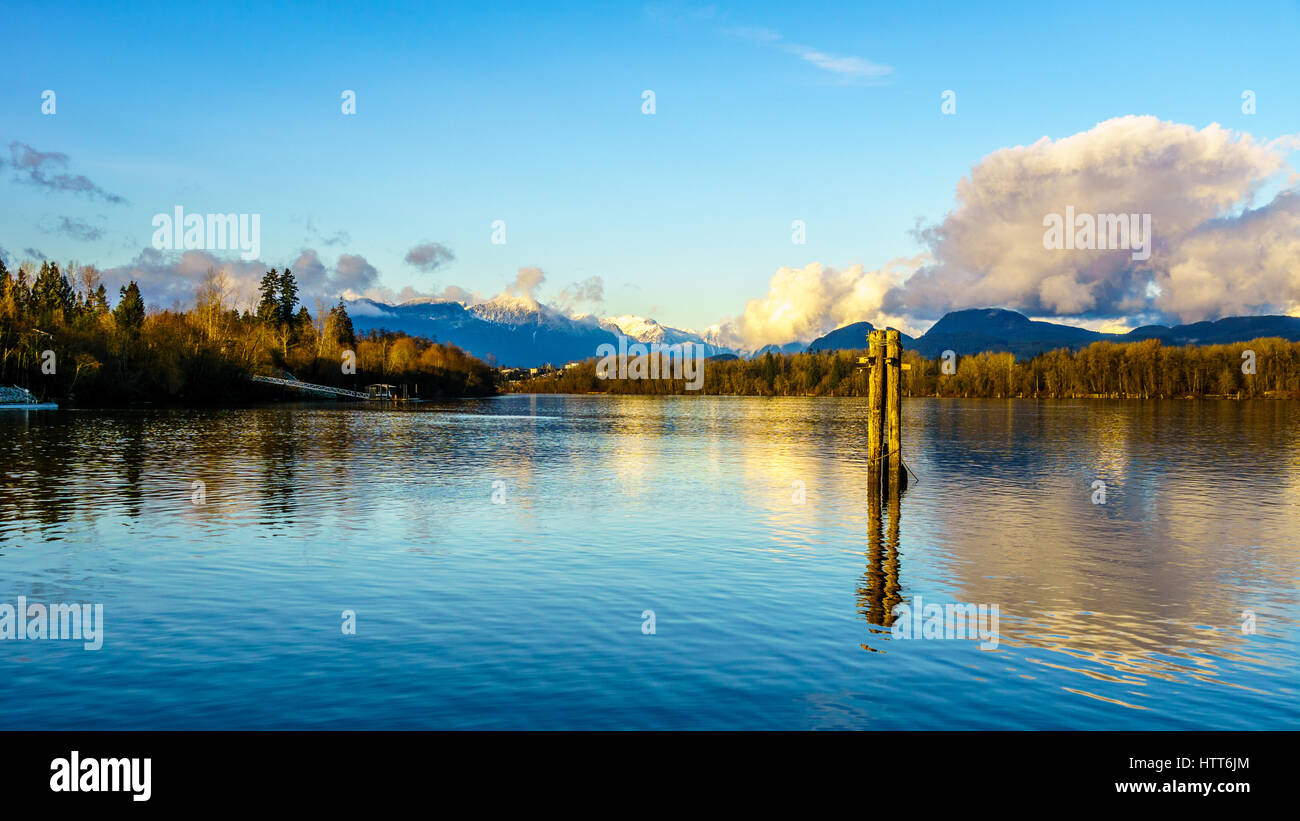 La réflexion sereine et créative dans la voie d'eau du canal à Bedford Brea Island à Fort Langley, Colombie-Britannique, Canada Banque D'Images