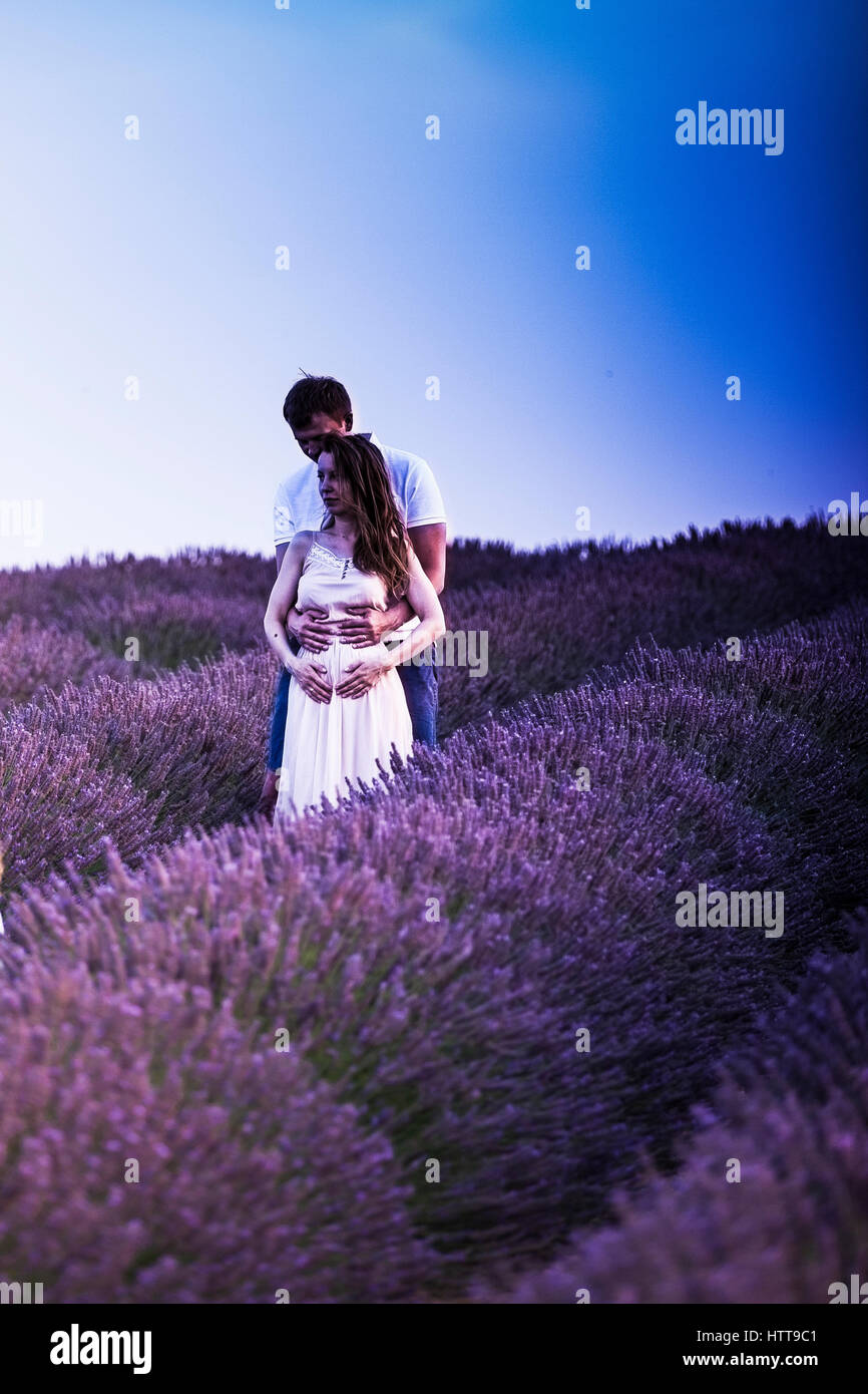 Reportage en Provence, entre les rangées de lavande, dans l'attente de collection Banque D'Images