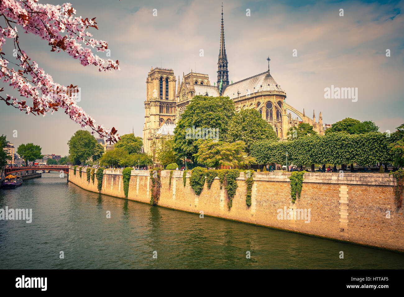 Notre Dame de Paris au printemps, France Banque D'Images