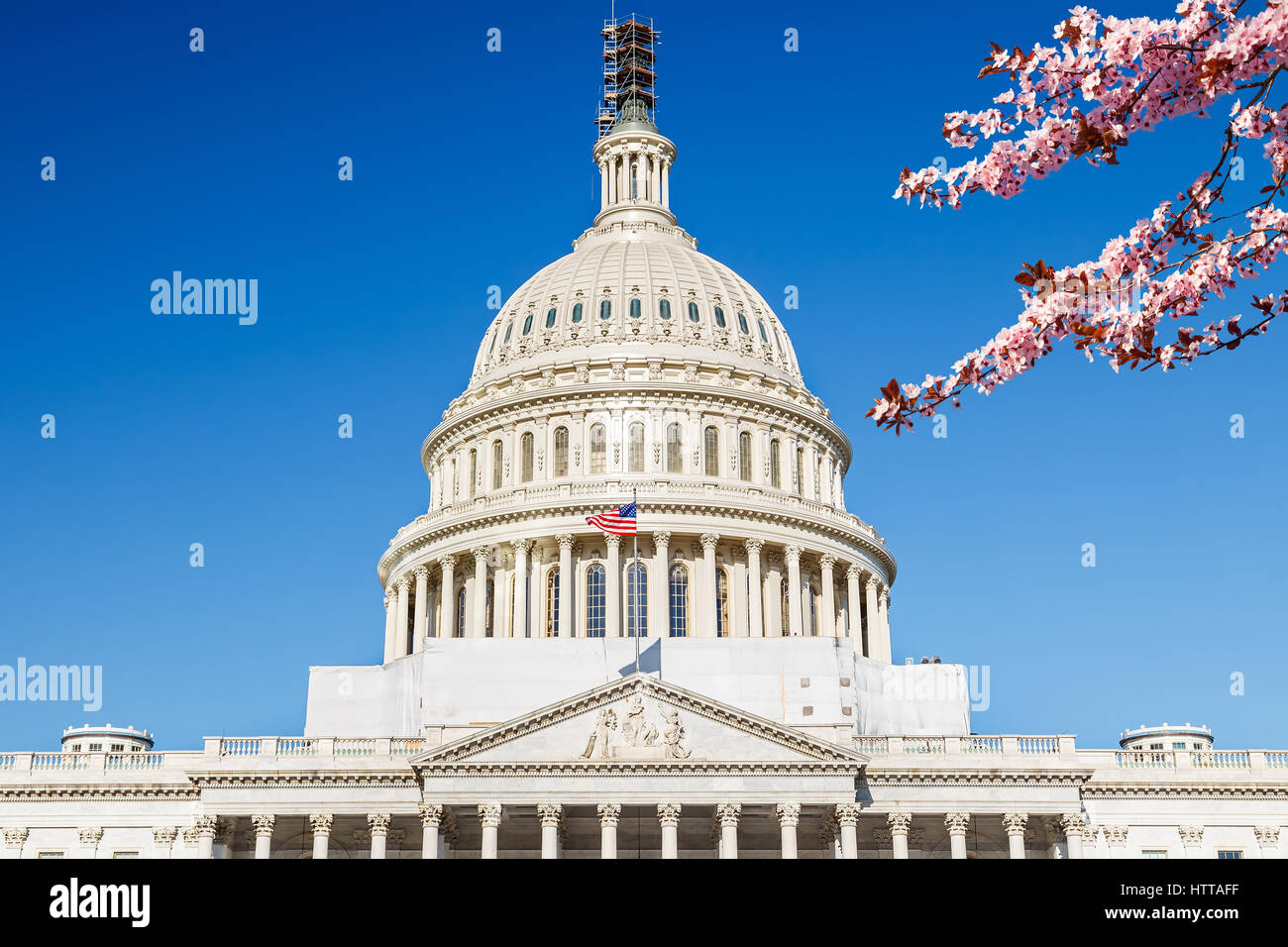 Capitole plus de ciel bleu avec blooming cherry on foreground Banque D'Images