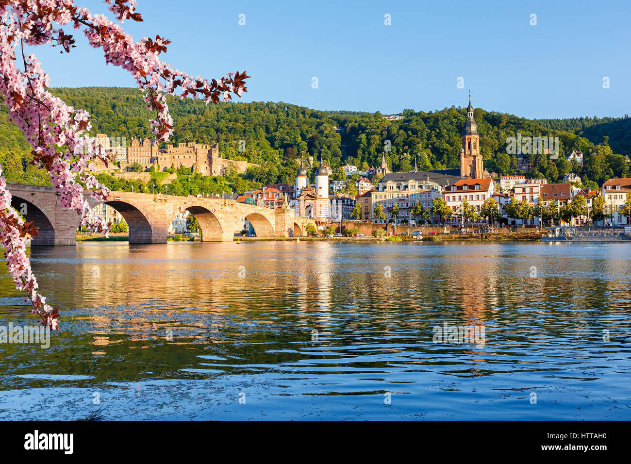 Vue sur Heidelberg au printemps, Allemagne Banque D'Images