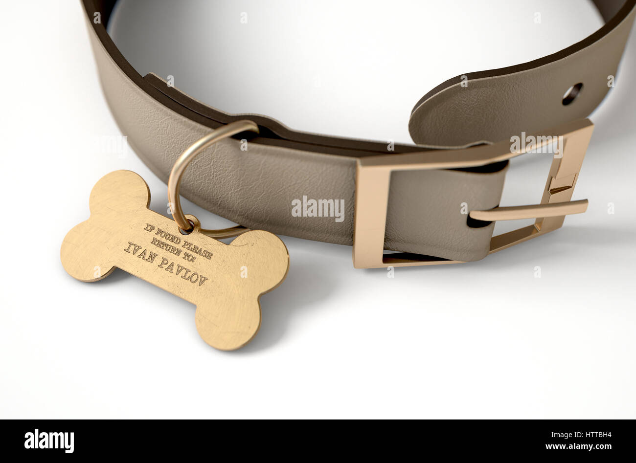 Un concept de conditionnement pavlovien illustrant une théorie de collier pour chien en cuir et une étiquette d'identification en forme d'os montrant la propriété à Ivan Pavlov - 3D r Banque D'Images