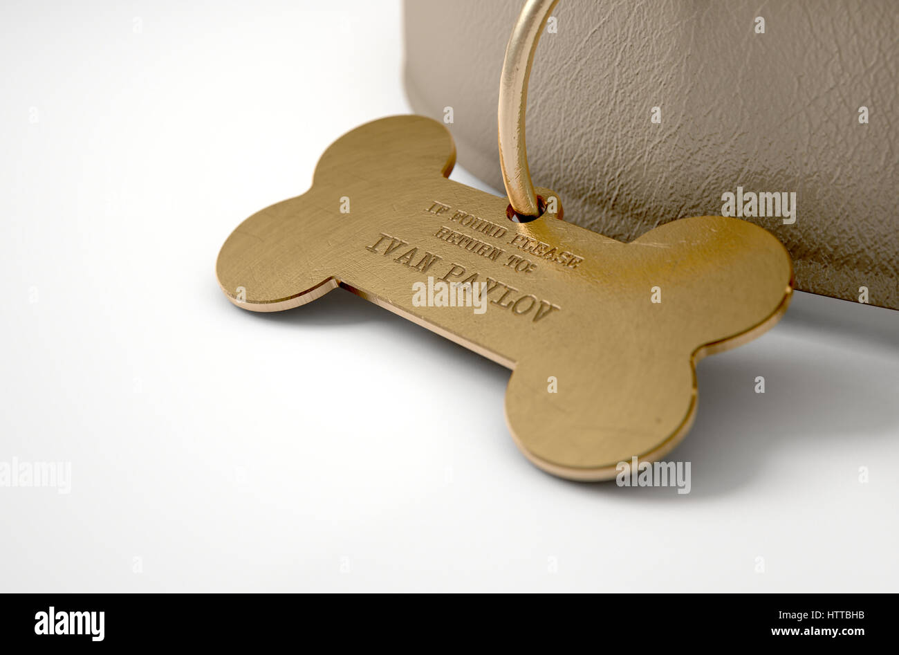Un concept de conditionnement pavlovien illustrant une théorie de collier pour chien en cuir et une étiquette d'identification en forme d'os montrant la propriété à Ivan Pavlov - 3D r Banque D'Images