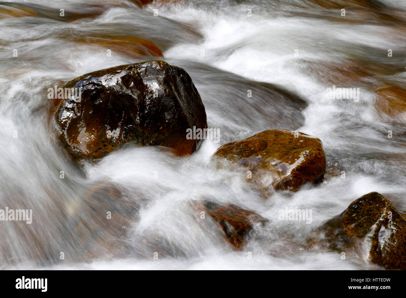 Courant Rapide de ruisseau de montagne et rochers Banque D'Images