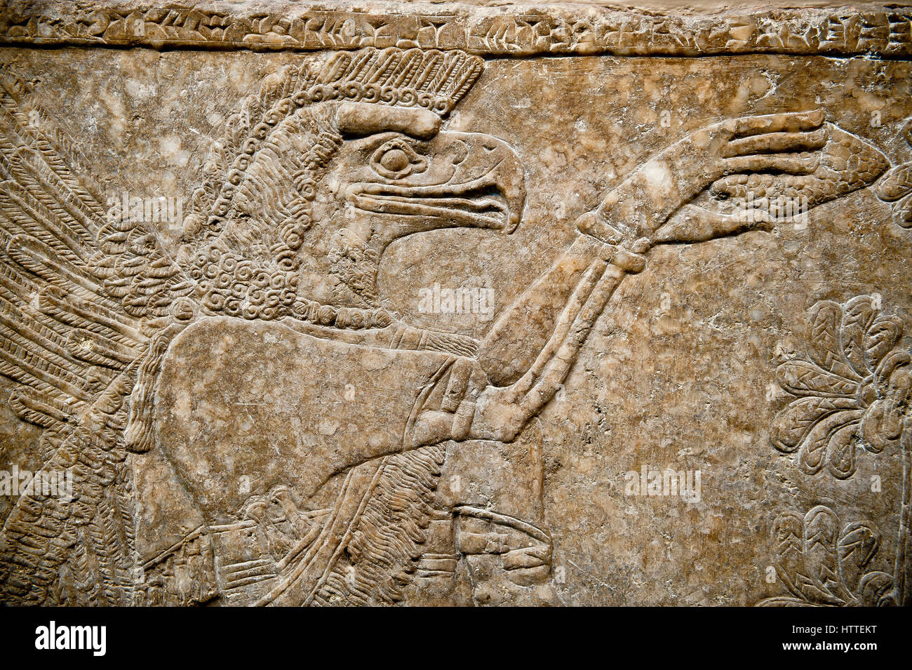 Sculpture bas-relief assyrien de bord d'un aigle dirigé esprit protecteur de Nimrud, de l'Iraq. L'esprit est la tenue d'une fir cone et symbolique est l'arrosage Banque D'Images