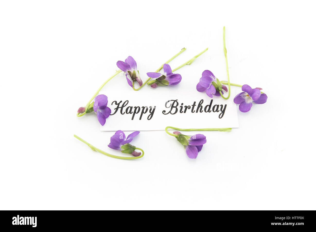 Joyeux Anniversaire Carte avec violettes sur fond blanc. Banque D'Images