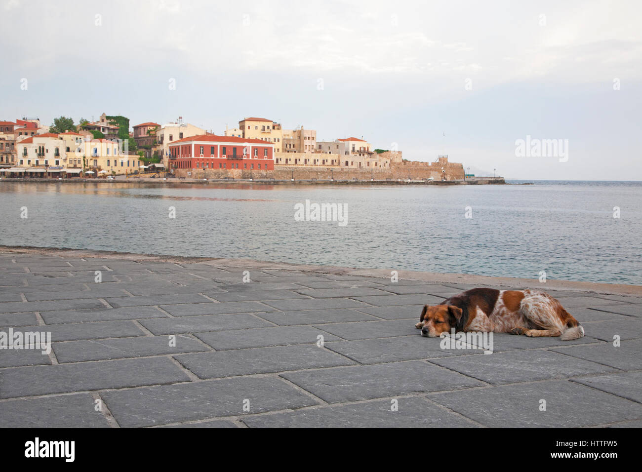 Couchage chien sur front de mer du port vénitien, dans la vieille ville de Chania Banque D'Images
