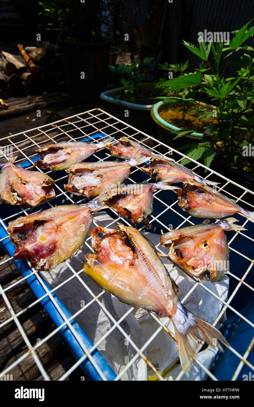 Poisson dans Koh Panyee ou Ko Panyi village de pêcheurs. Banque D'Images