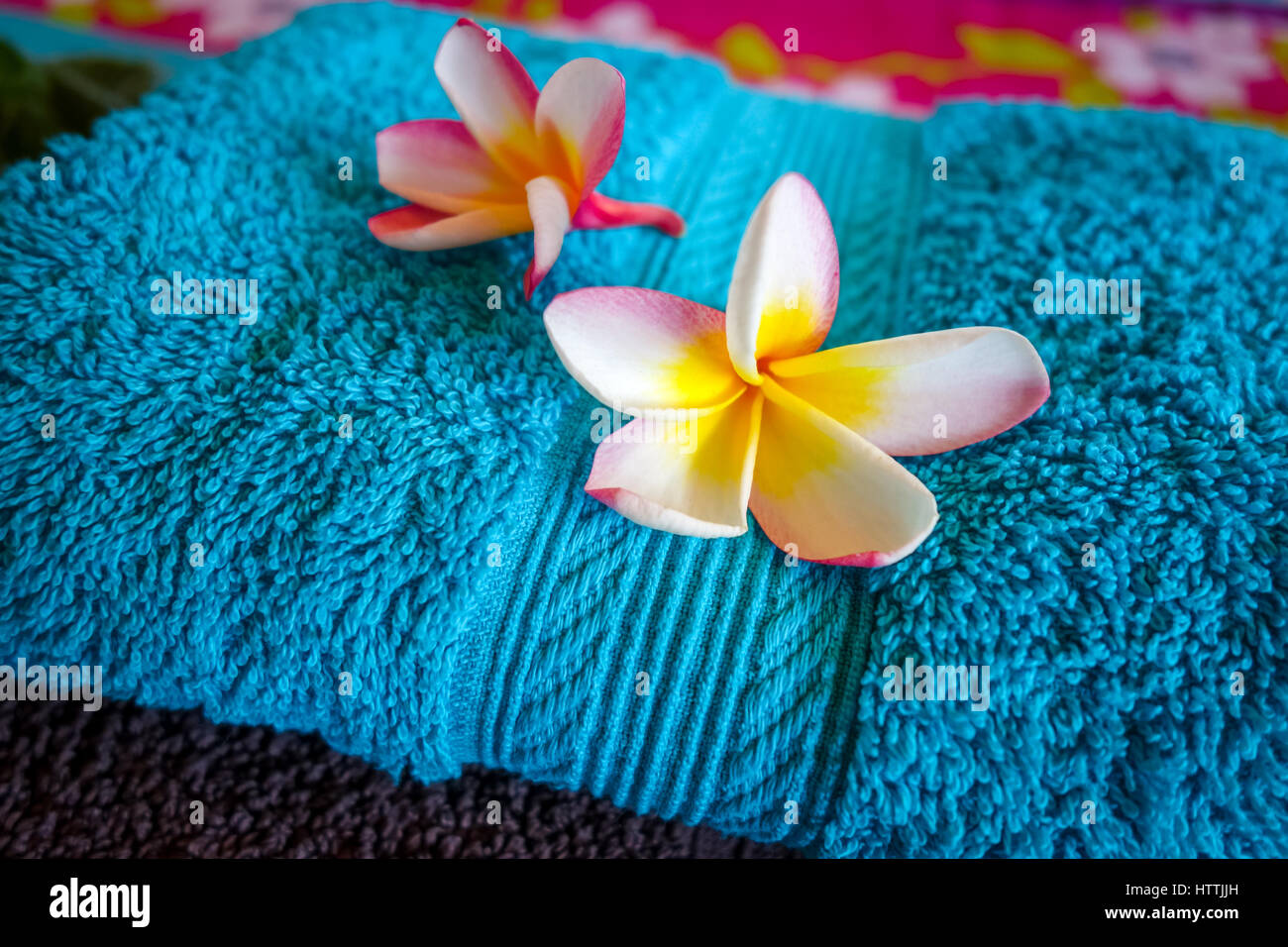 Fleur de tiaré fond blanc Banque de photographies et d'images à haute  résolution - Alamy