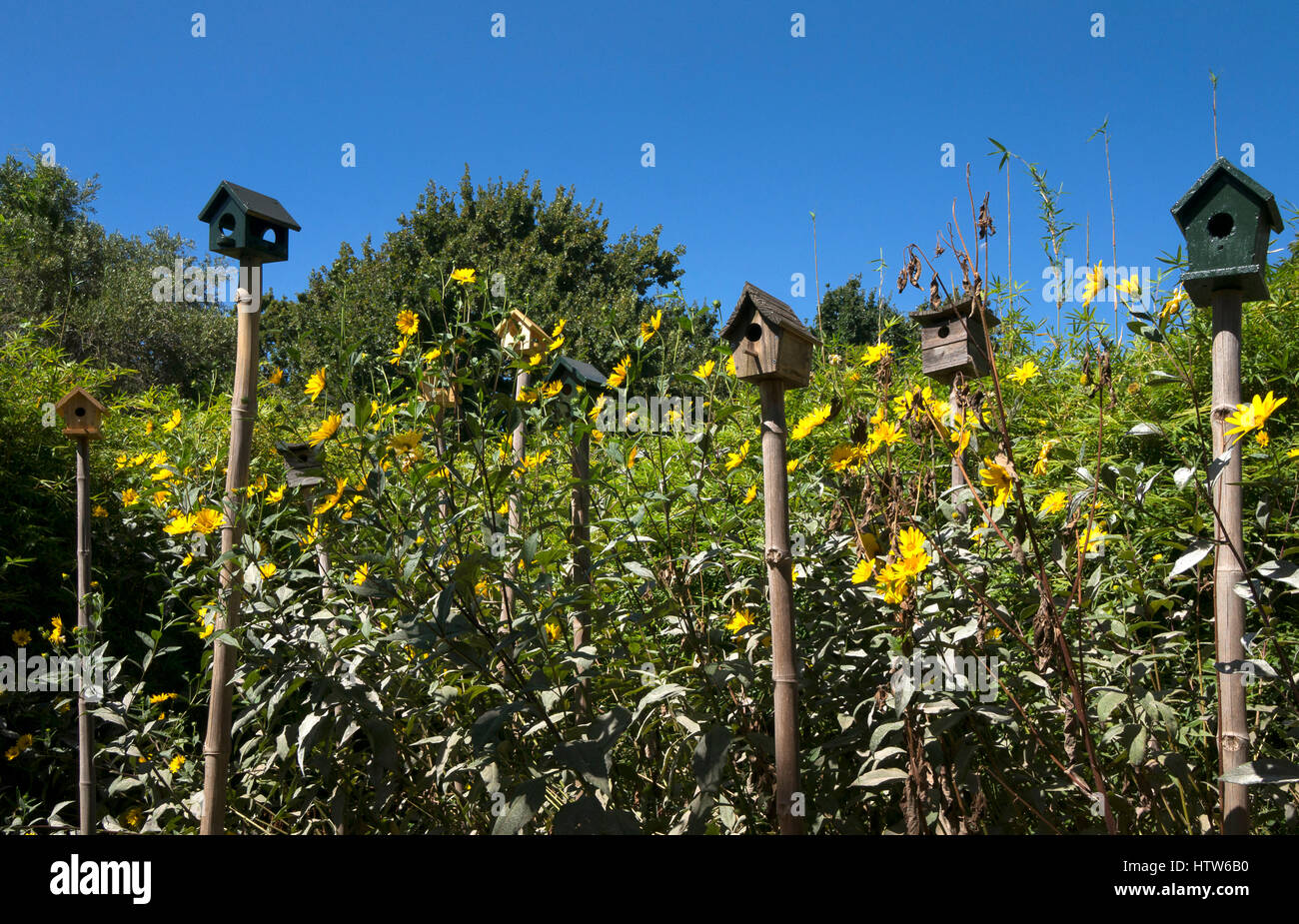 Babylonstoren Gardens, de Western Cape, Afrique du Sud Banque D'Images