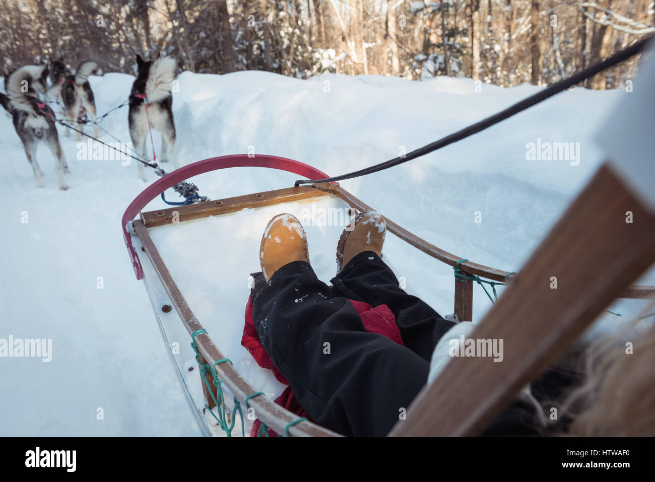 Femme équitation traîneau sur un terrain enneigé Banque D'Images