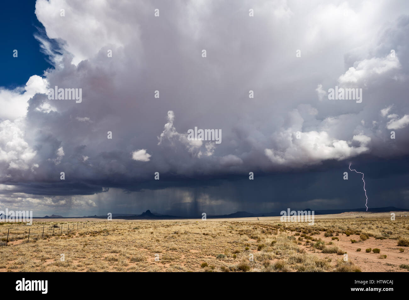 Nuage de Cumulonimbus et foudre d'un orage dans le désert de l'Arizona Banque D'Images