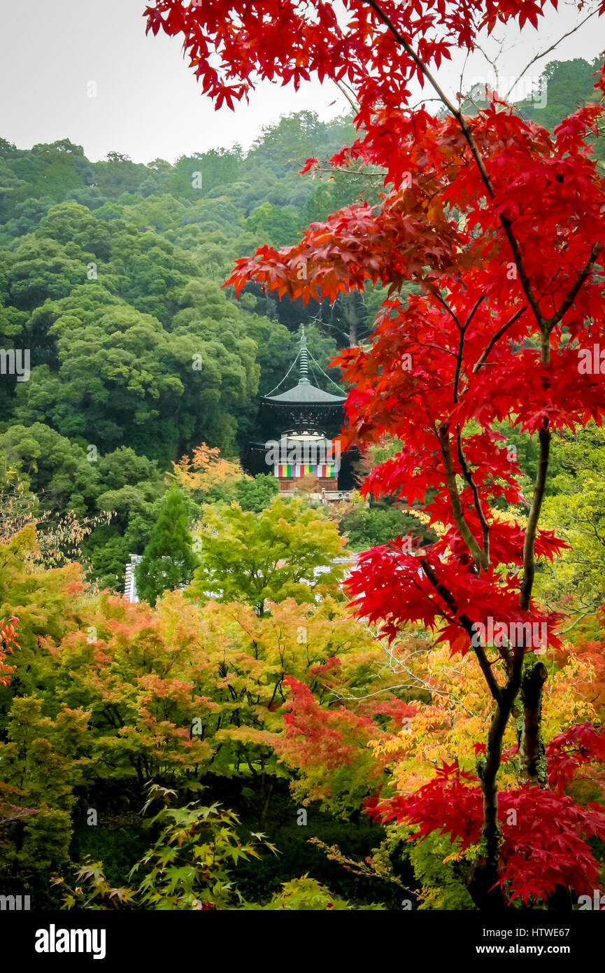 Eikando pagoda et feuillage d'automne - Kyoto, Japon. Banque D'Images