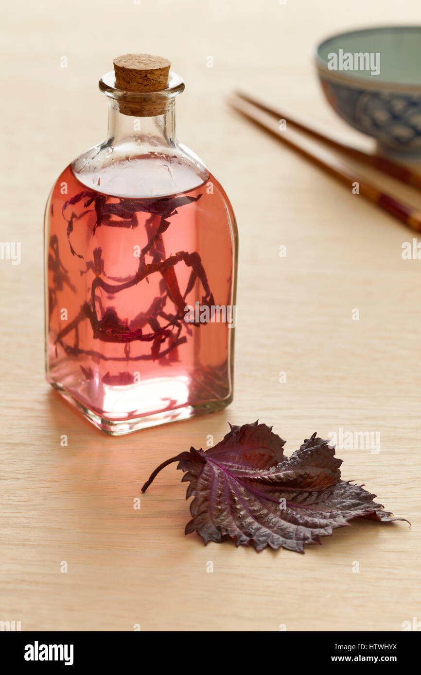 Bouteille avec du vinaigre et shiso feuille shiso rouge frais Banque D'Images