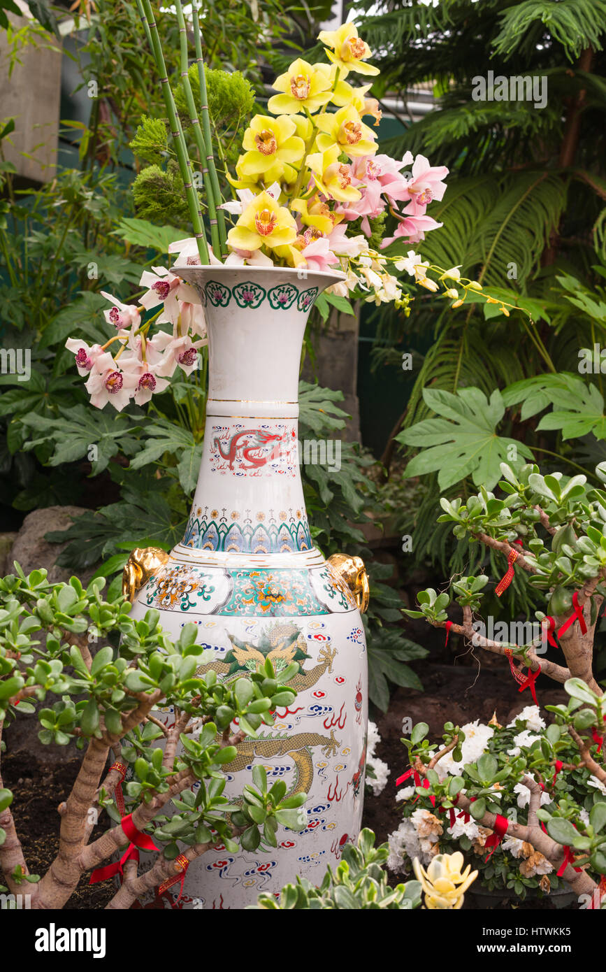 Vase chinois avec des orchidées phalaenopsis dans un jardin à thème à Edmonton, Alberta. Banque D'Images