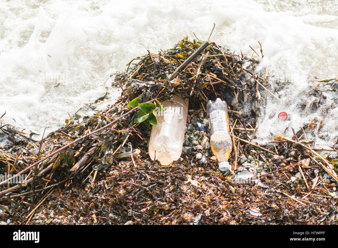 Les bouteilles en plastique de l'irn bru échoués sur la plage de l'estuaire de la Clyde Banque D'Images