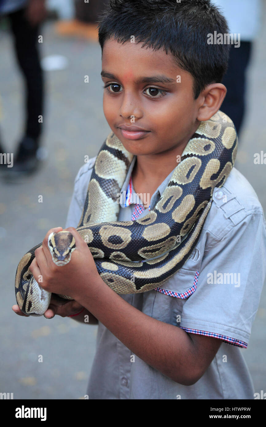 La Malaisie, Penang, Thaipusam, fête hindoue, garçon avec un serpent, Banque D'Images