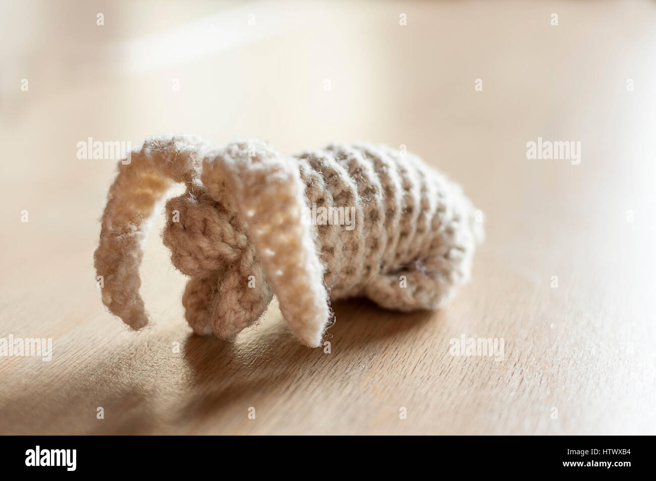 Lapin blanc sur la table en bois. Jouet en peluche à la main. Banque D'Images