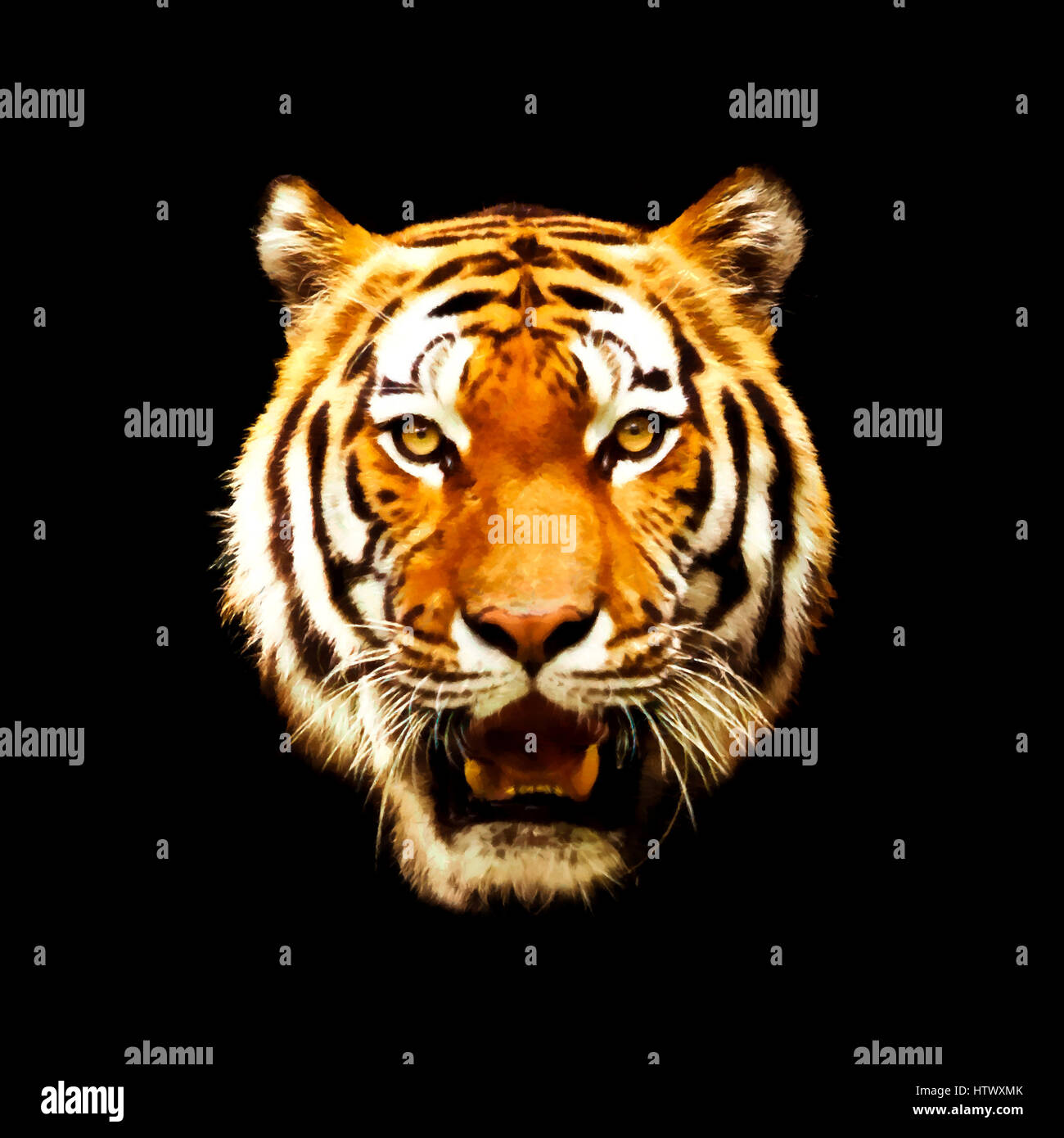 Tête d'un tigre. L'illustration en noir. Tigre sur fond noir Banque D'Images