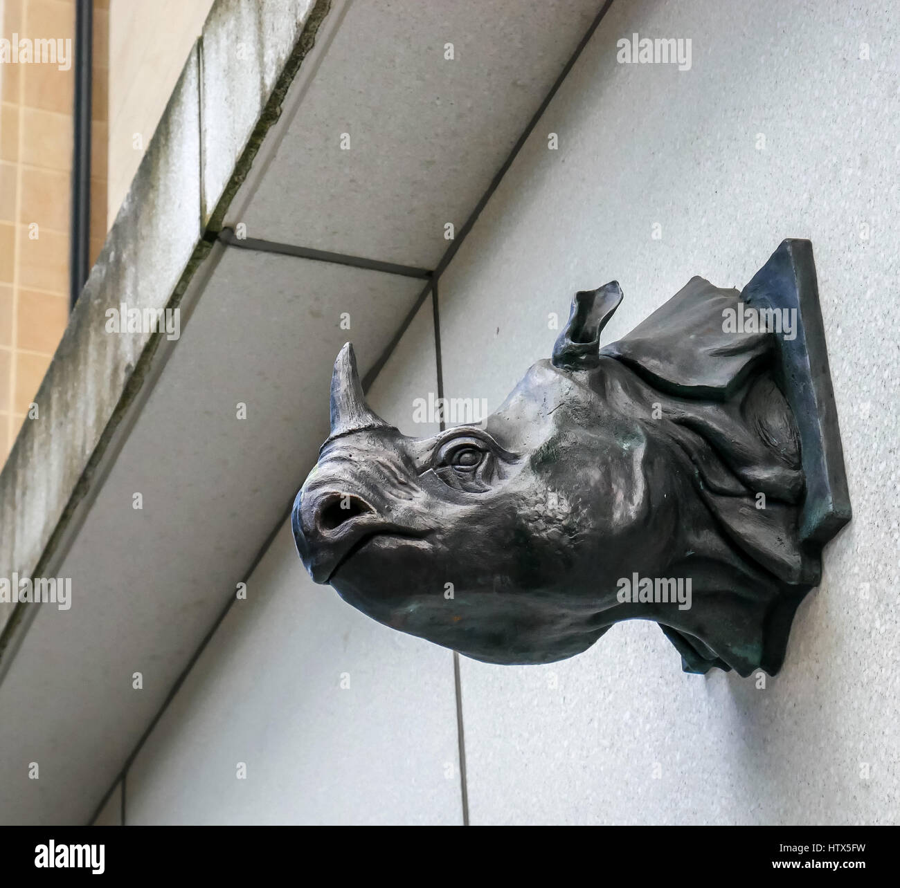 Tête de rhinocéros sculptée par William Darrell, Université d'Édimbourg Forum informatique, bâtiment commémorant l'emplacement de Jim Haynes Paperback Bookshop Banque D'Images