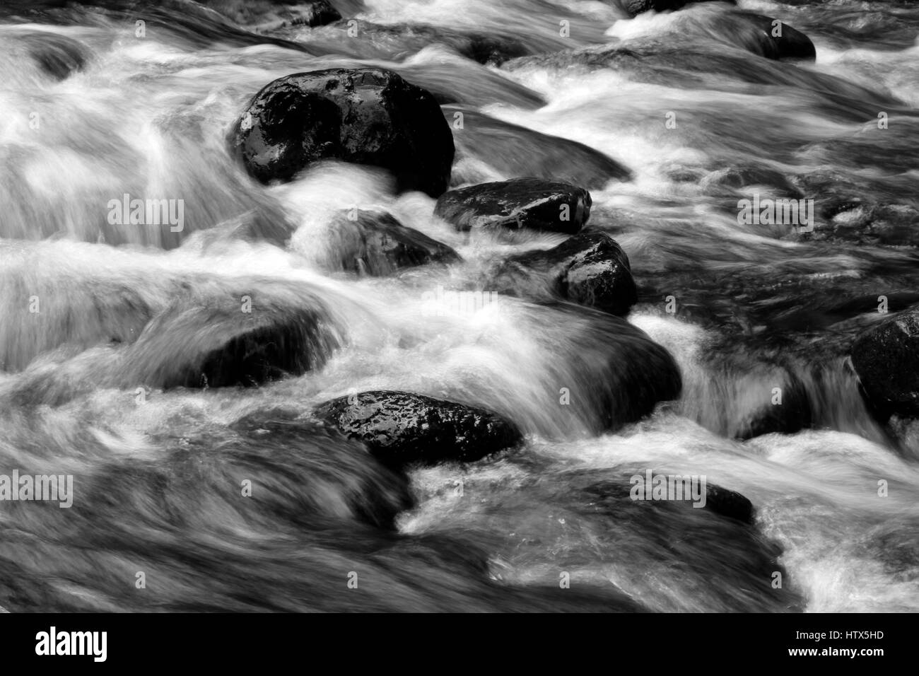 Courant Rapide de ruisseau de montagne et rochers Banque D'Images