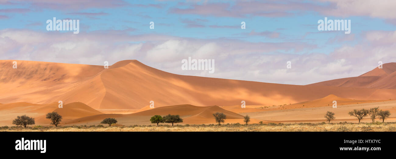 Une vue panoramique de dunes dans le Namib-Naukluft National Park. Banque D'Images