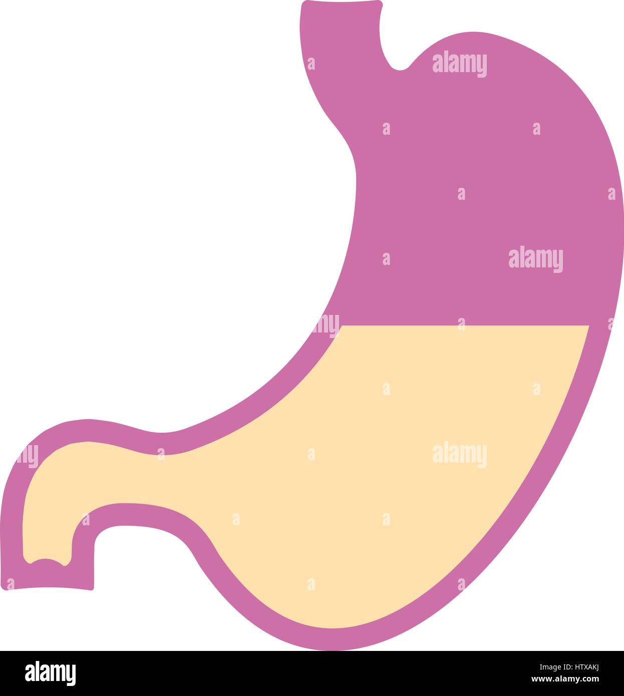 L'icône de l'estomac. Les organes internes. La digestion. Appareil digestif, système style plat Illustration de Vecteur