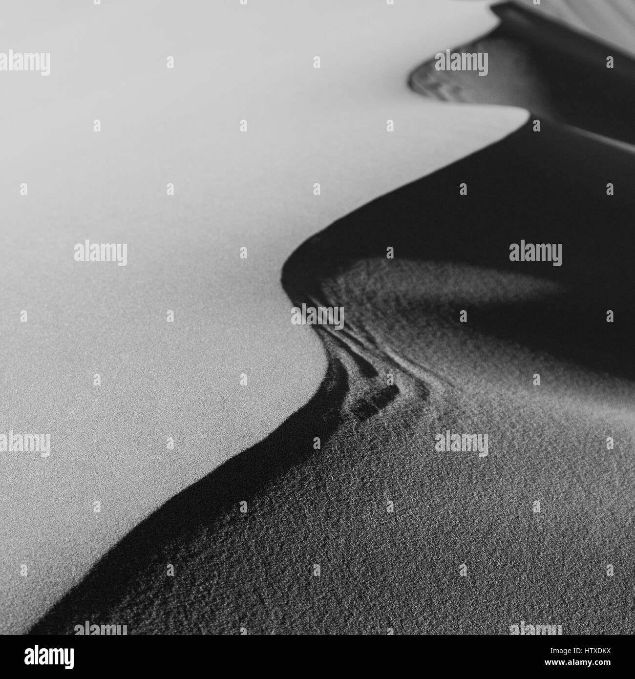 Détail monochrome dunes de sable dans le désert du Sahara, Merzouga, Maroc Banque D'Images