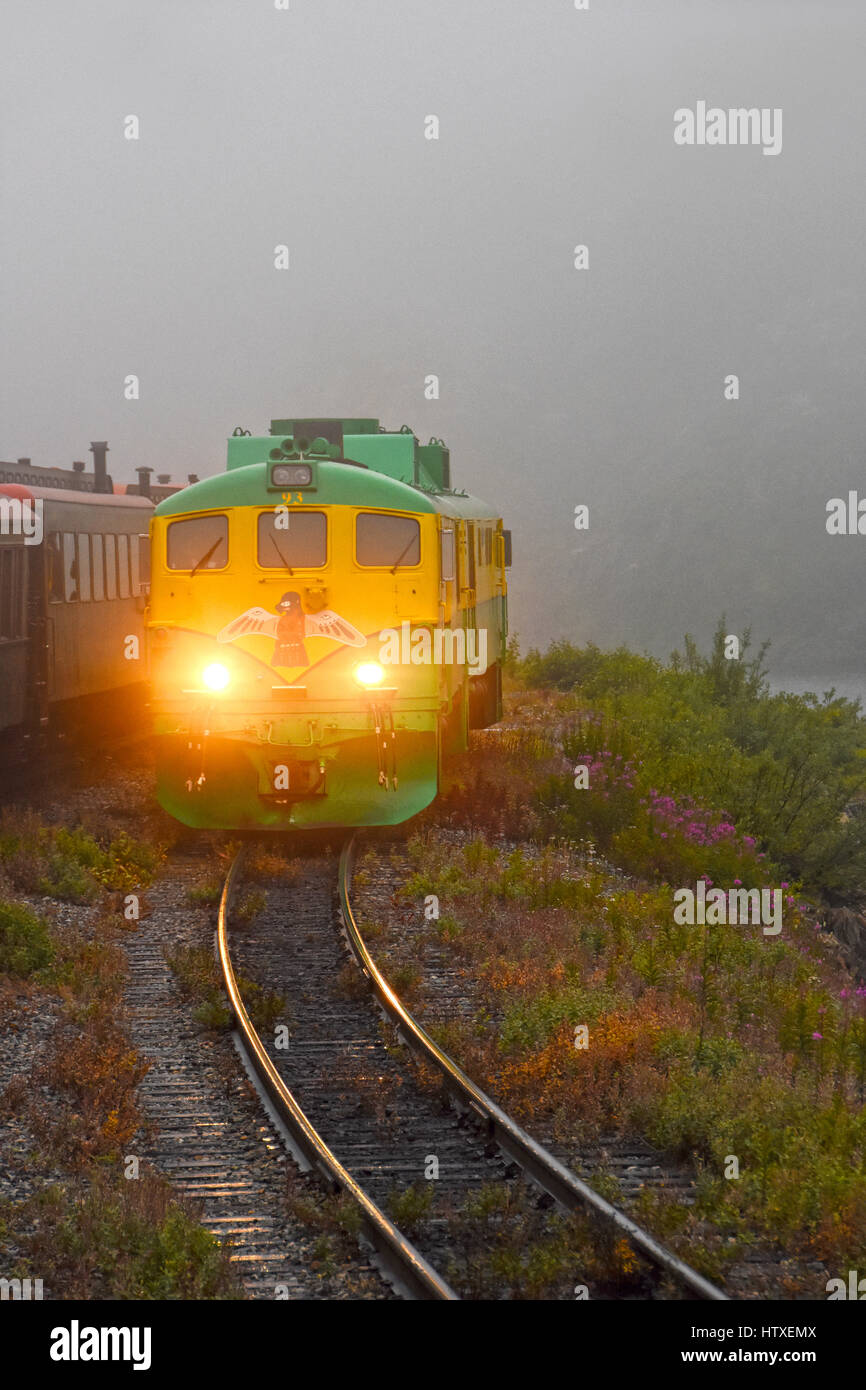 Col blanc Alaska train Banque D'Images