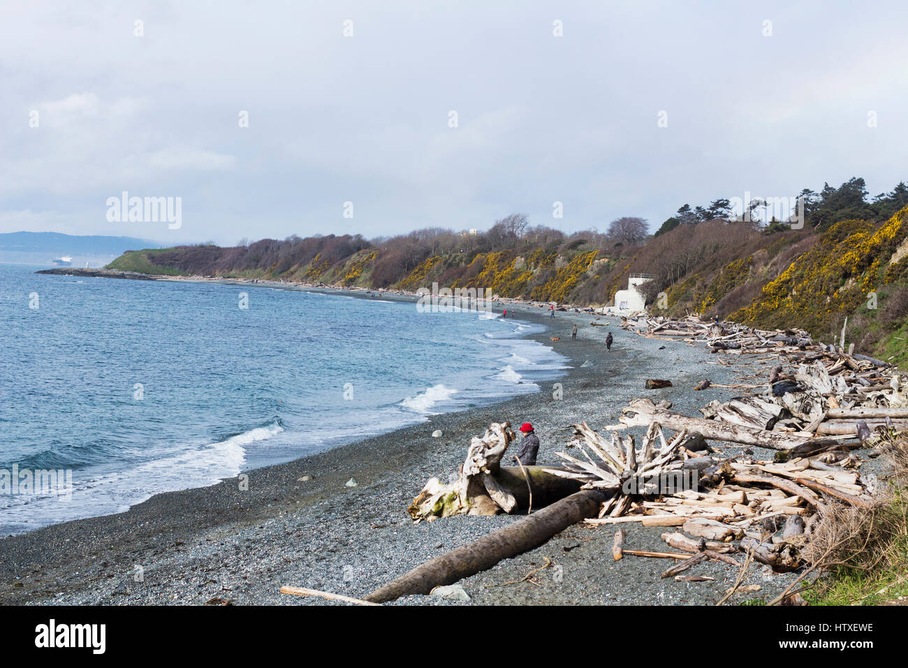 Dallas Road littoral. Victoria, C.-B.). Canada Banque D'Images