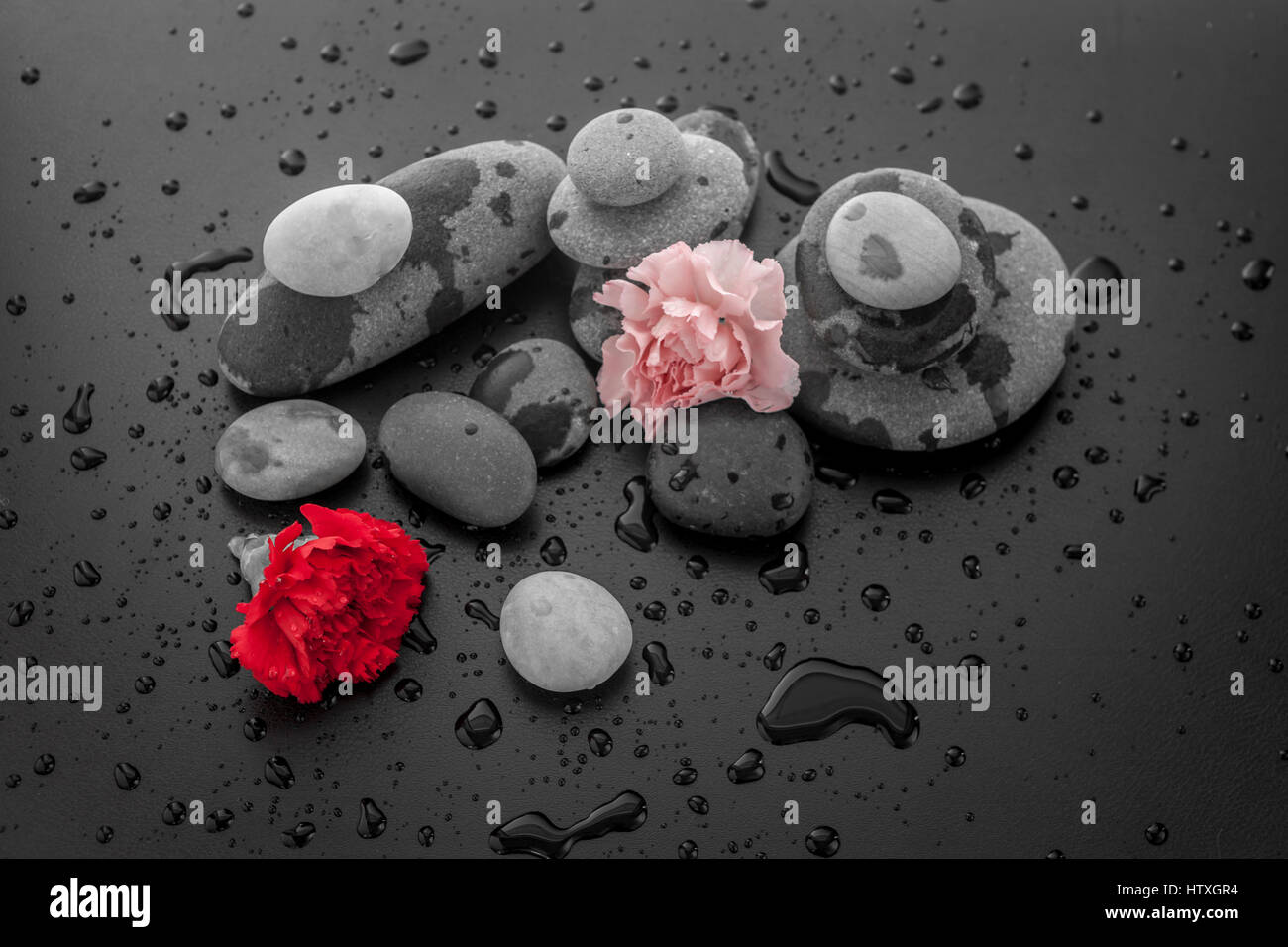 Une image comme zen pacifique de roches et de fleurs avec des gouttes d'eau. Banque D'Images