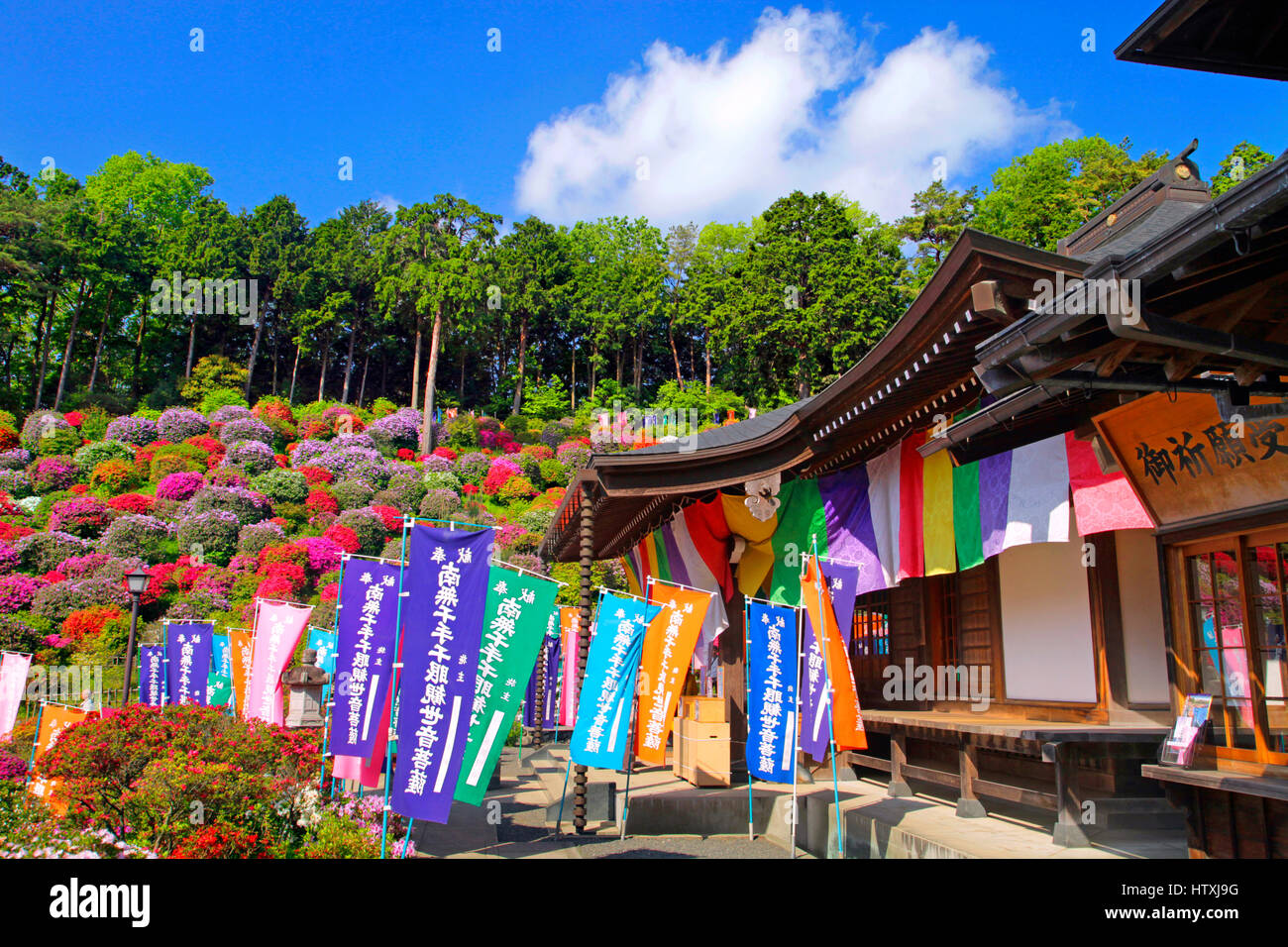 Le Azareas Shiofune Kannon Ome ville Tokyo Japon Banque D'Images