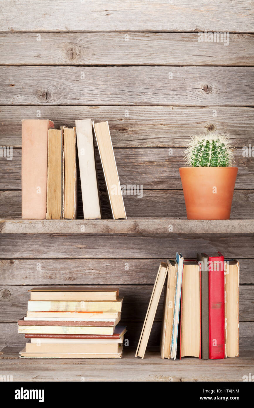Les vieux livres sur une étagère en bois et cactus. With copy space Photo  Stock - Alamy