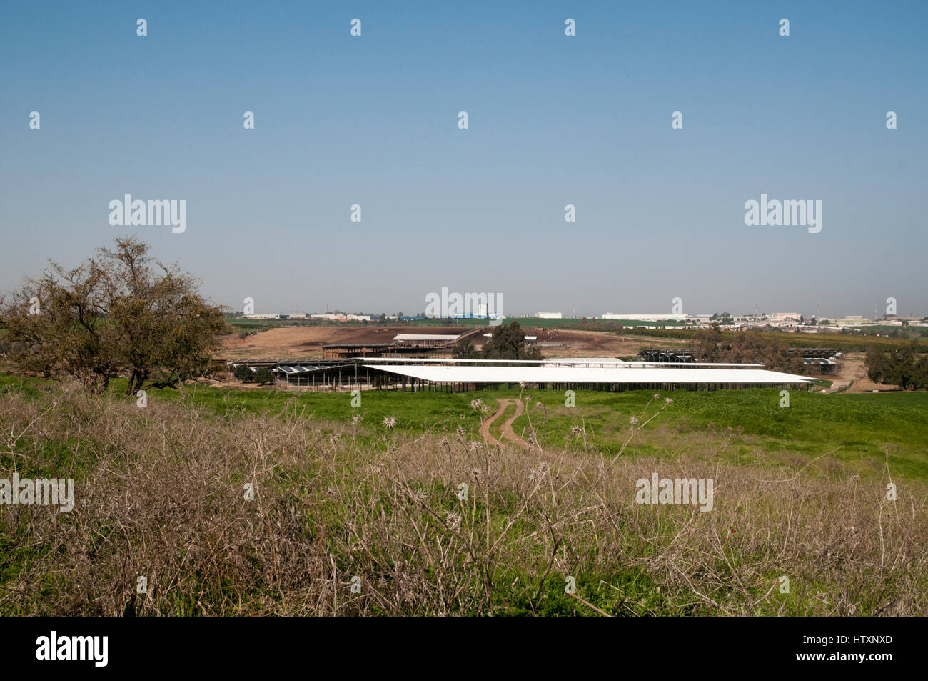 Havat Shikmim (lit. 'Sycamore Ranch') est un ranch de moutons en Israël qui appartient à la famille de feu le Premier Ministre israélien Ariel Sharon. C'est l Banque D'Images