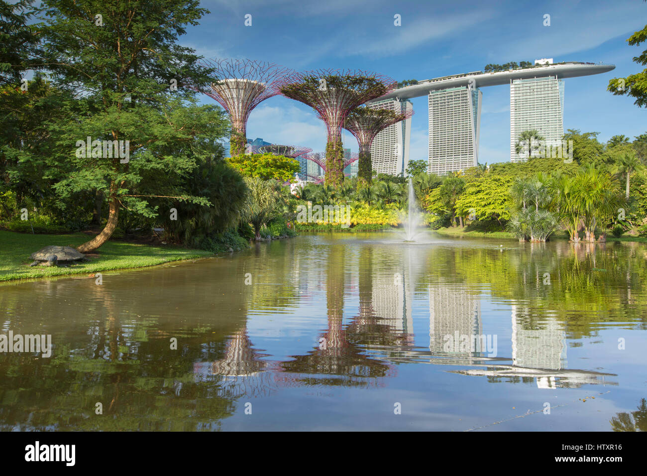 Gardens by the Bay et Marina Bay Sands Hotel, Singapore Banque D'Images
