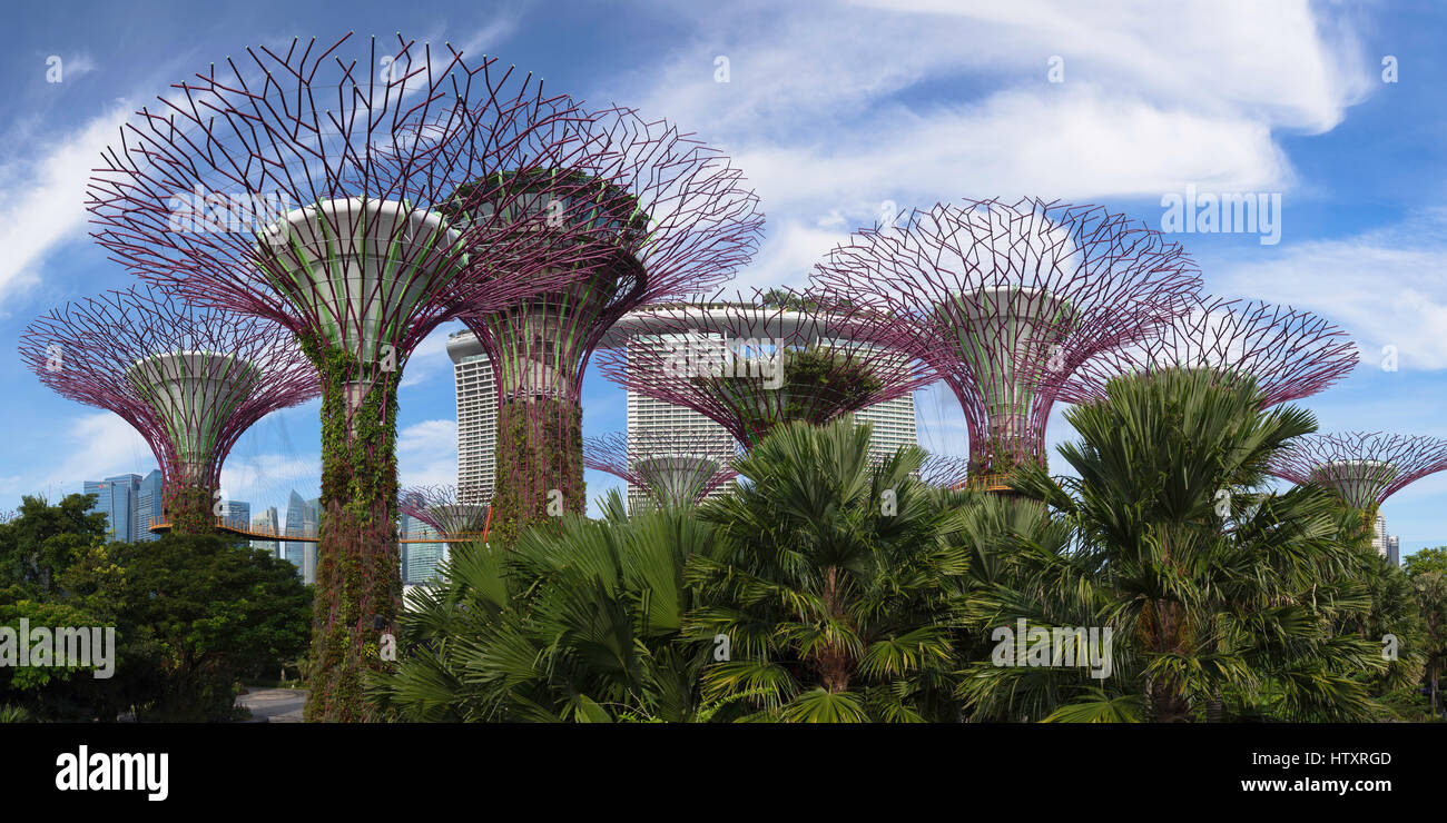 Gardens by the Bay et Marina Bay Sands Hotel, Singapore Banque D'Images