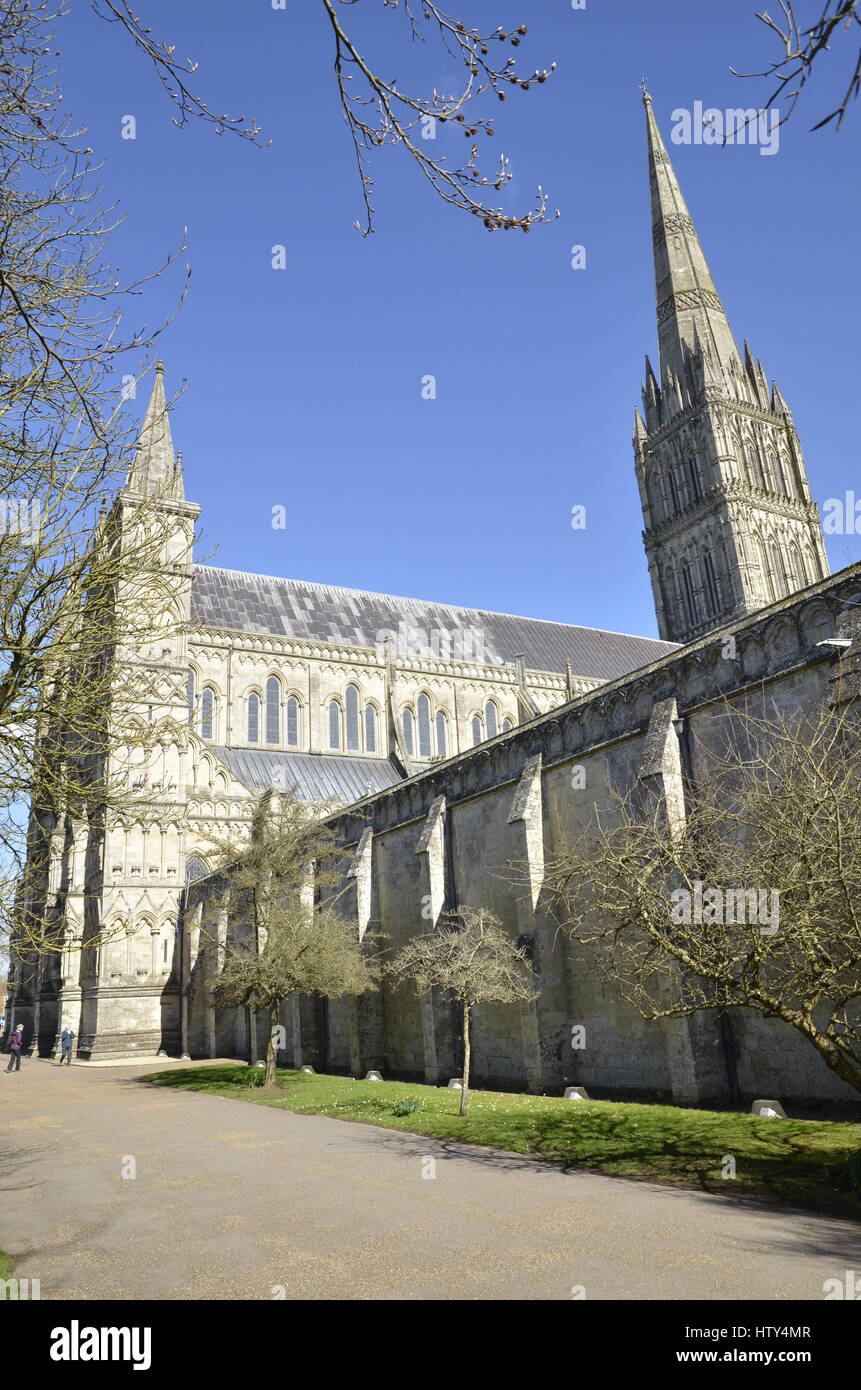 La cathédrale de Salisbury Banque D'Images