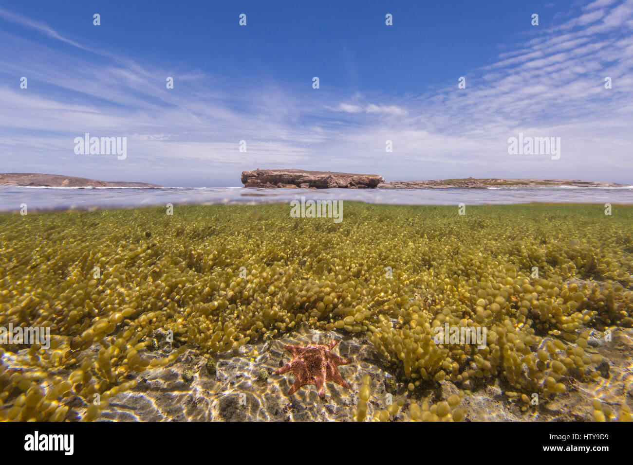 La côte ouest de l'Australie du Sud - Parc National de Lincoln Banque D'Images