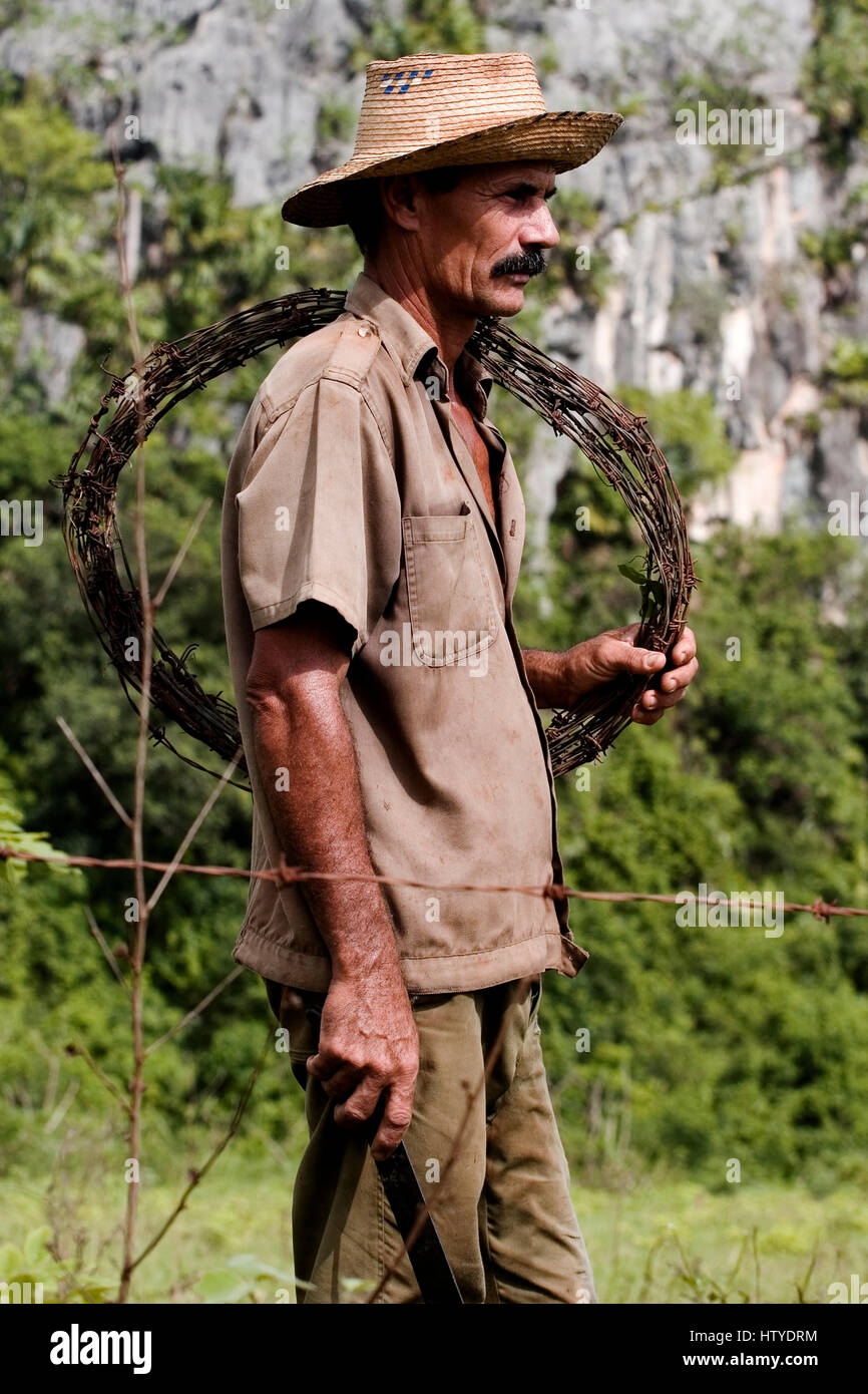 Agriculteur cubain au travail. Banque D'Images